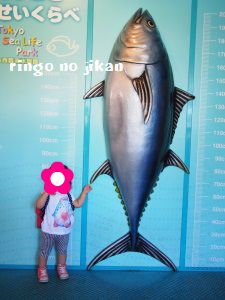 f:id:ringo_co:20171114064312j:plain f:id:ringo_co:20171114064312j:plain