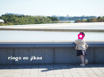 f:id:ringo_co:20171114064406j:plain f:id:ringo_co:20171114064406j:plain