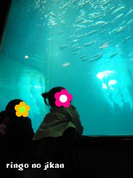 f:id:ringo_co:20171114064737j:plain f:id:ringo_co:20171114064737j:plain