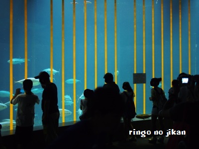 f:id:ringo_co:20171114085356j:plain f:id:ringo_co:20171114085356j:plain