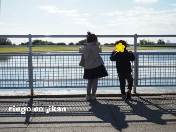 f:id:ringo_co:20171114085659j:plain f:id:ringo_co:20171114085659j:plain