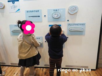f:id:ringo_co:20171114085906j:plain f:id:ringo_co:20171114085906j:plain