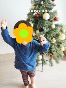 f:id:ringo_co:20171121051923j:plain f:id:ringo_co:20171121051923j:plain
