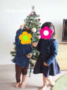 f:id:ringo_co:20171121051939j:plain f:id:ringo_co:20171121051939j:plain