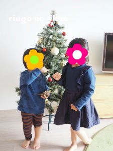 f:id:ringo_co:20171121052001j:plain f:id:ringo_co:20171121052001j:plain