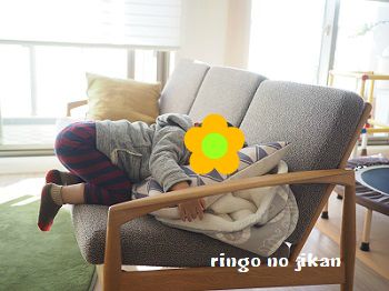 f:id:ringo_co:20171130063701j:plain