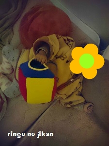 f:id:ringo_co:20171231085515j:plain