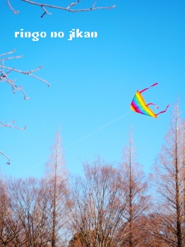 f:id:ringo_co:20180103231811j:plain f:id:ringo_co:20180103231811j:plain