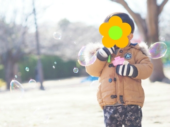 f:id:ringo_co:20180107004824j:plain