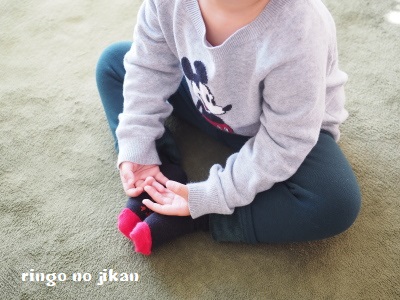 f:id:ringo_co:20180117160758j:plain