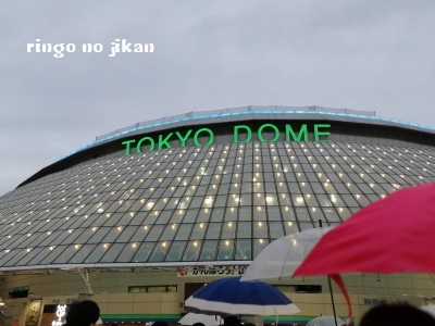 f:id:ringo_co:20180119063349j:plain