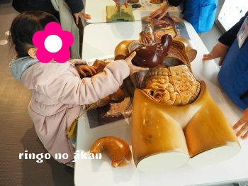 f:id:ringo_co:20180122024902j:plain