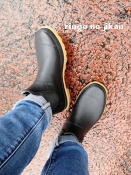 f:id:ringo_co:20180309000148j:plain f:id:ringo_co:20180309000148j:plain