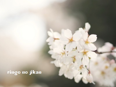 f:id:ringo_co:20180327225952j:plain f:id:ringo_co:20180327225952j:plain