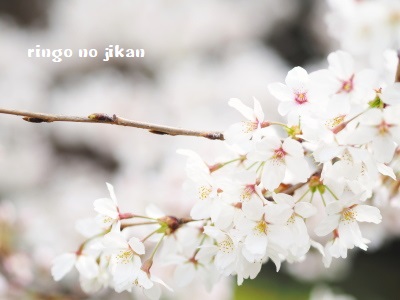 f:id:ringo_co:20180327231246j:plain f:id:ringo_co:20180327231246j:plain