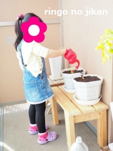 f:id:ringo_co:20180403063631j:plain