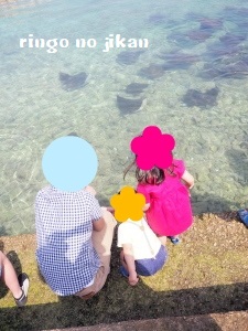 f:id:ringo_co:20180407004531j:plain