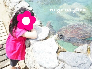 f:id:ringo_co:20180407004602j:plain