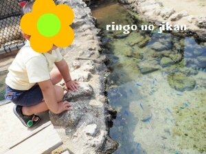 f:id:ringo_co:20180407004917j:plain