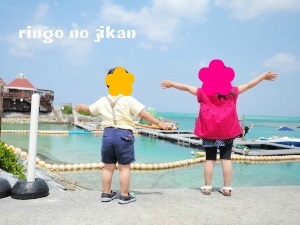 f:id:ringo_co:20180407005520j:plain