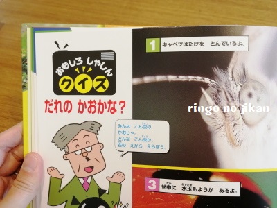 f:id:ringo_co:20180411050323j:plain f:id:ringo_co:20180411050323j:plain
