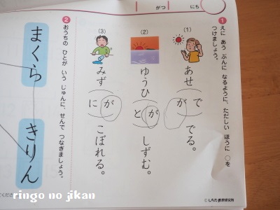 f:id:ringo_co:20180411062948j:plain