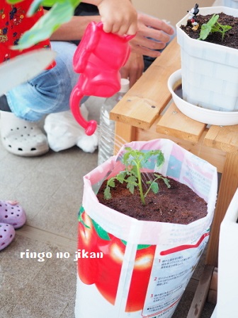 f:id:ringo_co:20180507061834j:plain