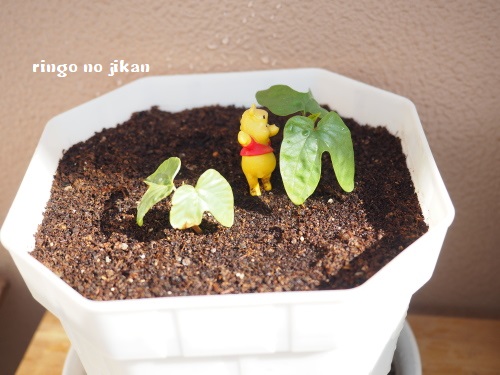 f:id:ringo_co:20180507061917j:plain