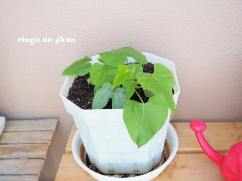 f:id:ringo_co:20180507062055j:plain