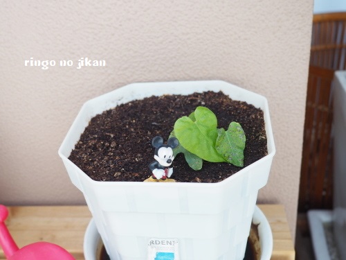 f:id:ringo_co:20180507062109j:plain