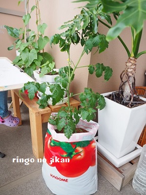 f:id:ringo_co:20180527064311j:plain