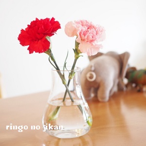 f:id:ringo_co:20180531000648j:plain