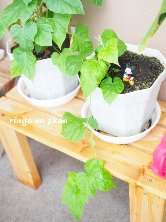 f:id:ringo_co:20180612110857j:plain f:id:ringo_co:20180612110857j:plain