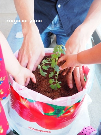 f:id:ringo_co:20180612111148j:plain f:id:ringo_co:20180612111148j:plain