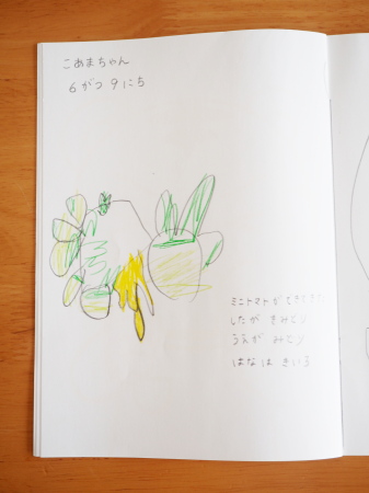 f:id:ringo_co:20180612112205j:plain f:id:ringo_co:20180612112205j:plain
