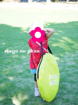 f:id:ringo_co:20180618014355j:plain f:id:ringo_co:20180618014355j:plain
