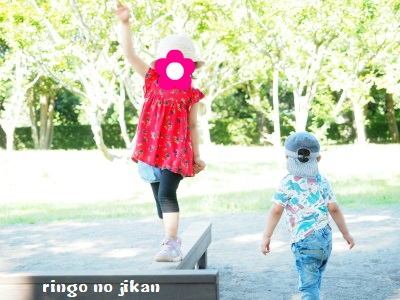 f:id:ringo_co:20180618020701j:plain f:id:ringo_co:20180618020701j:plain