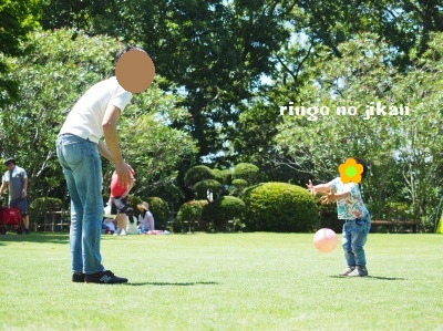 f:id:ringo_co:20180618020710j:plain f:id:ringo_co:20180618020710j:plain