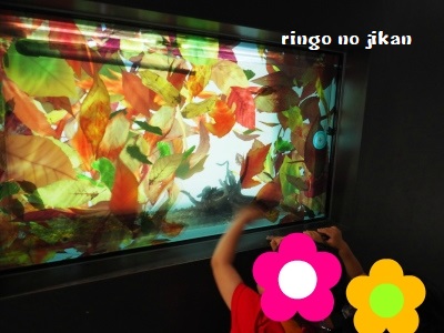 f:id:ringo_co:20180622060818j:plain