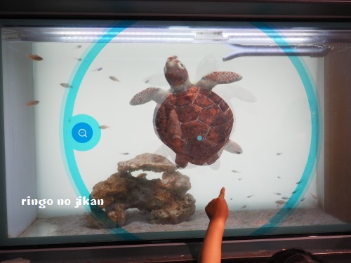 f:id:ringo_co:20180623002728j:plain