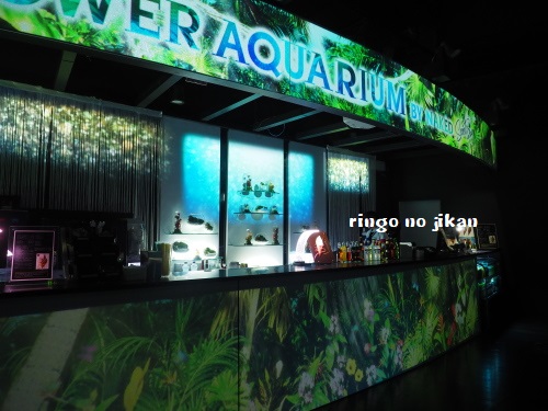 f:id:ringo_co:20180623002744j:plain