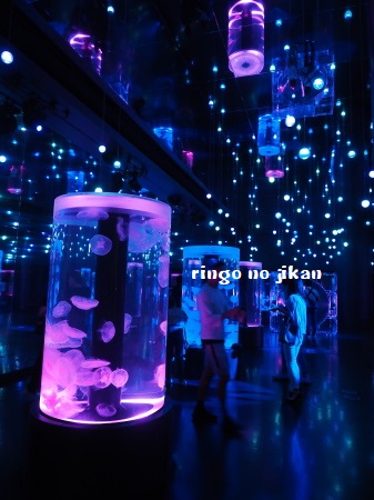 f:id:ringo_co:20180623002913j:plain