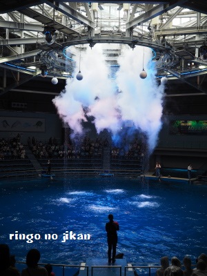 f:id:ringo_co:20180623003942j:plain