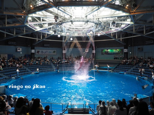 f:id:ringo_co:20180623003951j:plain