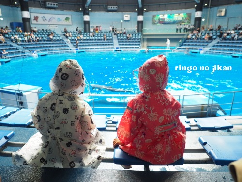 f:id:ringo_co:20180623004019j:plain