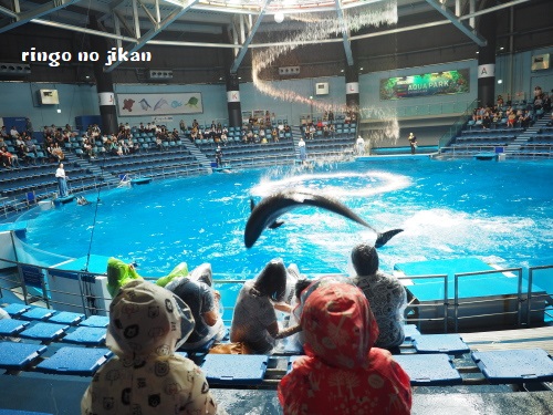 f:id:ringo_co:20180623004045j:plain