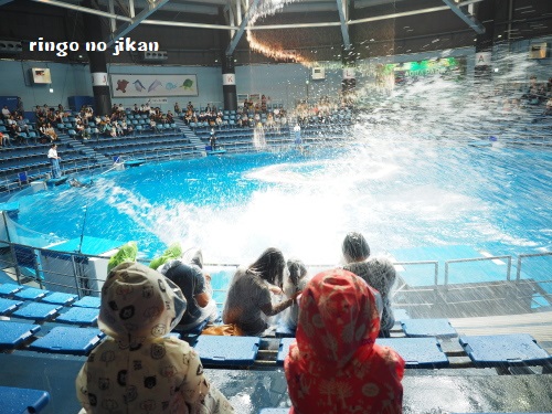 f:id:ringo_co:20180623004110j:plain