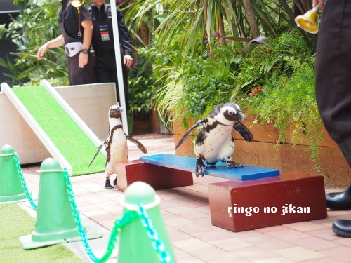 f:id:ringo_co:20180623004425j:plain