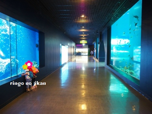 f:id:ringo_co:20180623004557j:plain