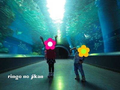 f:id:ringo_co:20180623004749j:plain